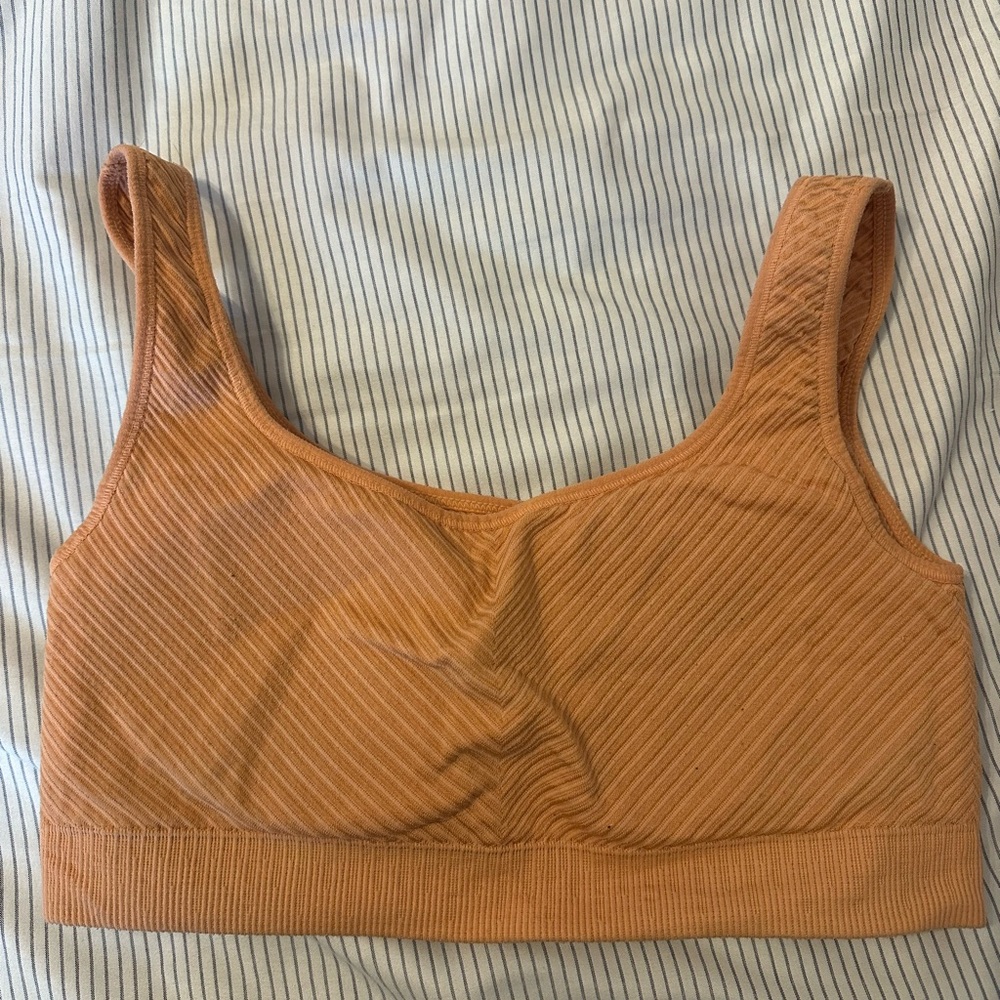 Avocado Ribbed Sports Bra in Tan